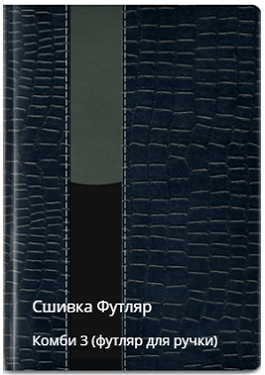 Футляр сшивка комби 3