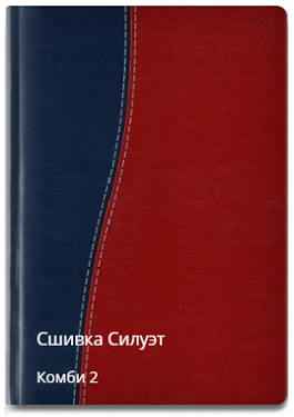 Силуэт сшивка комби 2
